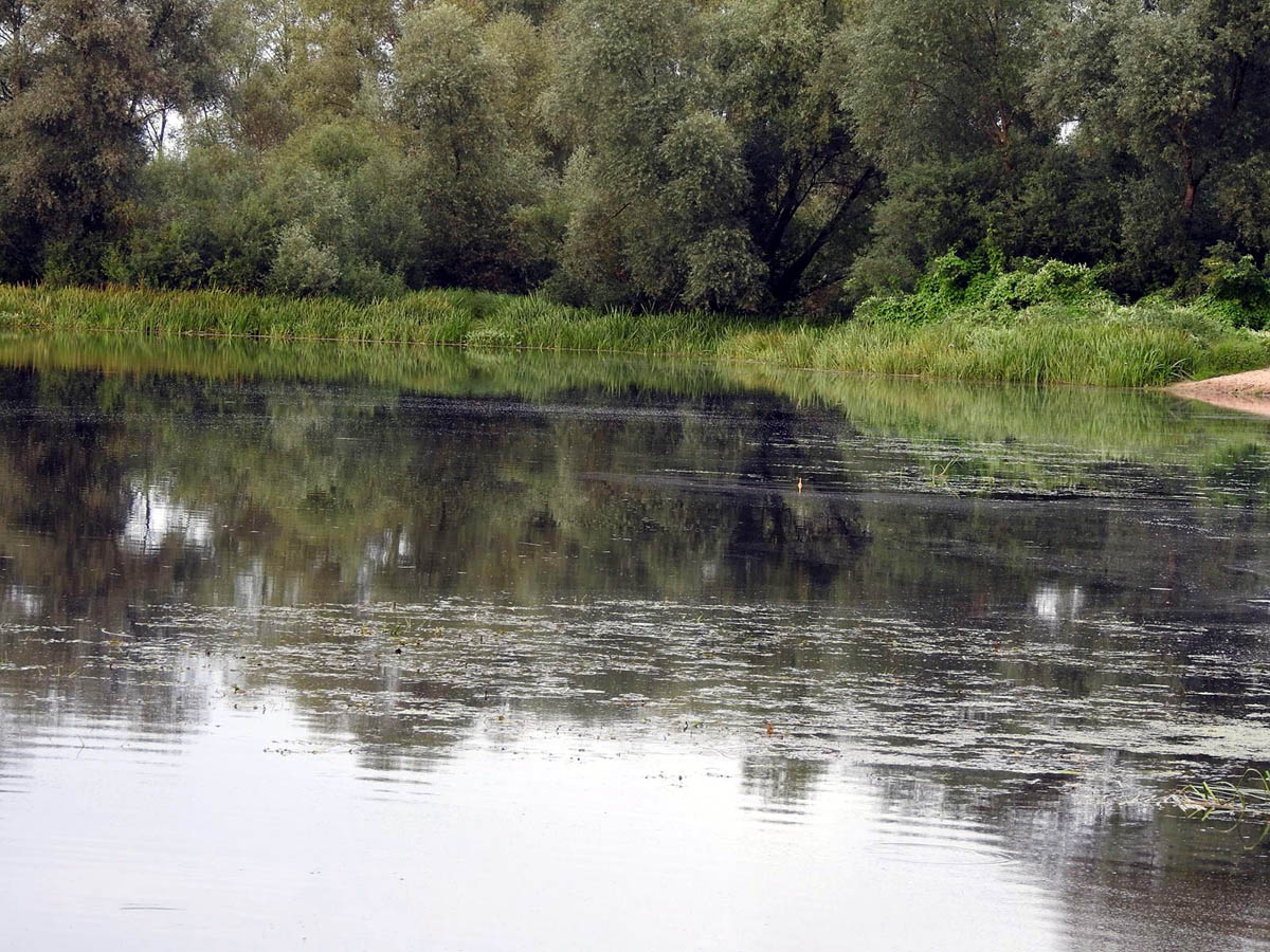 Wyniki pracy PSR woj. mazowieckiego we wrześniu 2025 r.