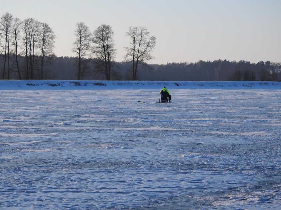 Wyniki pracy PSR woj. mazowieckiego w 2025 r.