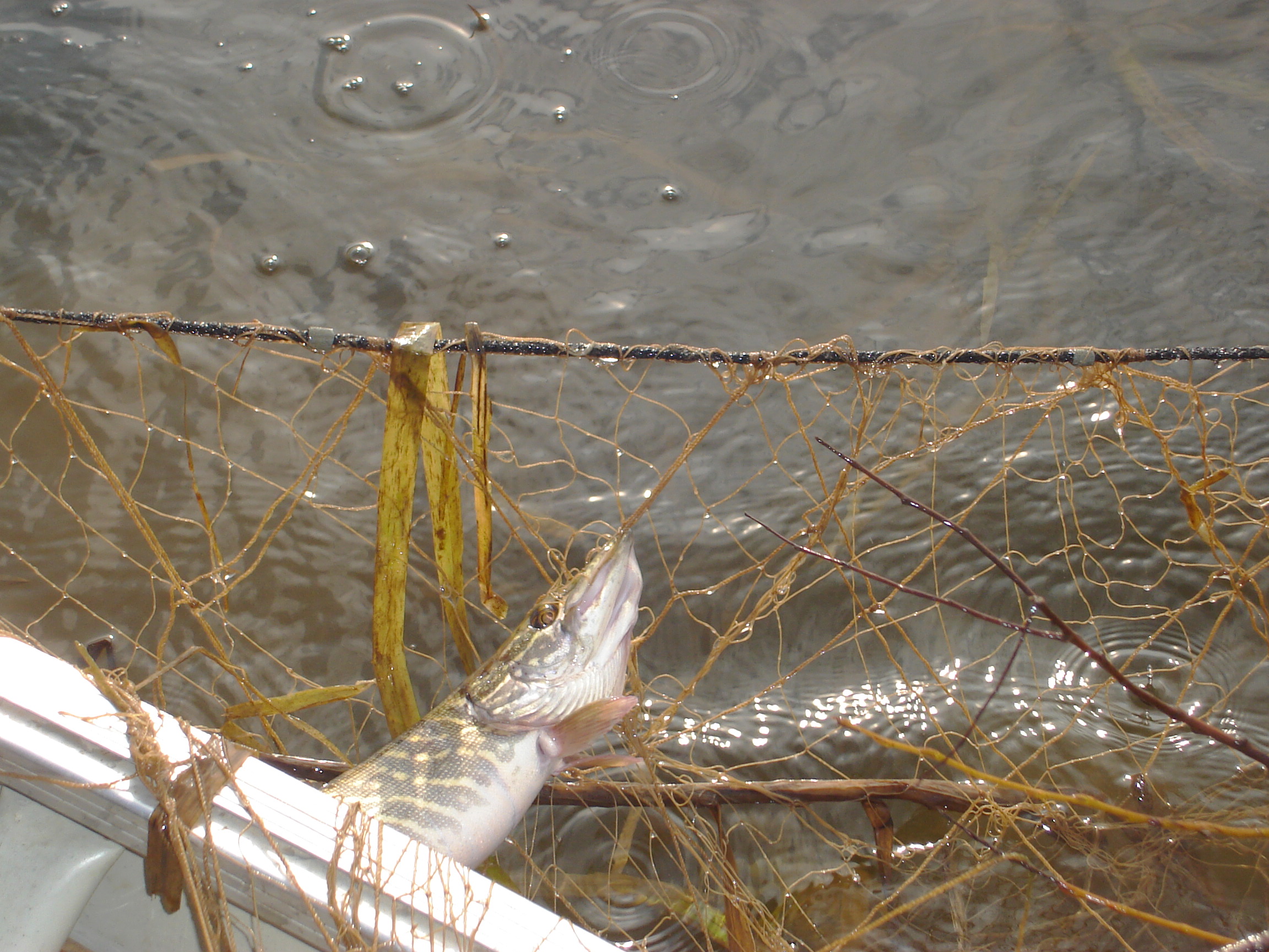 Wyniki pracy PSR woj. mazowieckiego w grudniu 2025 r.