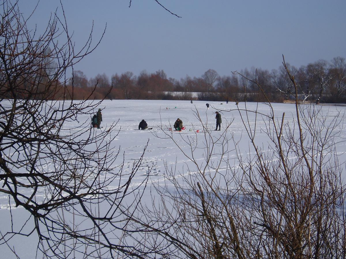 Wyniki pracy PSR woj. mazowieckiego w styczniu 2026 r.
