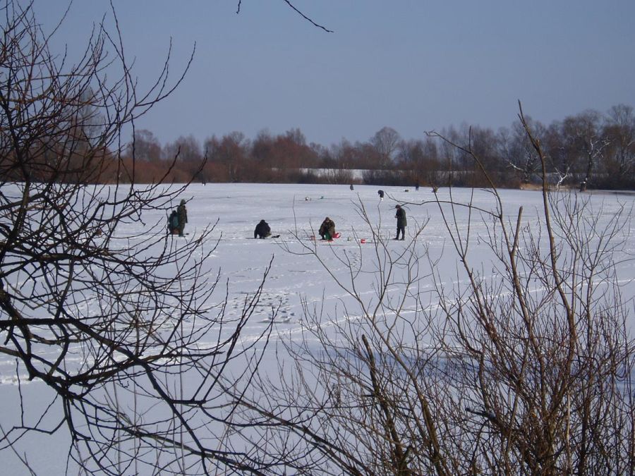 Wyniki pracy PSR woj. mazowieckiego w styczniu 2026 r.